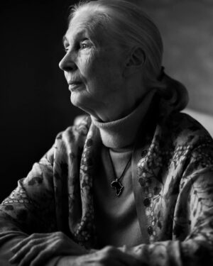 Jane Goodall Instagram - 📫 A thank you message from Dr. Jane Goodall 💌

“With so many people around the world, including you, sending me warm greetings, my resolve to do my utmost to give people the will to fight on for the future of the planet — to fight even harder, never to lose hope that miracles can and do happen. Together we are strong — we must be for all the children born into a troubled world.

So thank you for your Birthday greeting and know that my flame of hope is the stronger for it.

With love
Jane”

💚 Thank you to everyone who joined us in celebrating Dr. Jane Goodall’s 91st birthday yesterday! 🎂 From heartfelt messages to #GoodAllDay projects, your support made this celebration truly special. 🌍✨

Keep the momentum going and stay tuned for more ways to make an impact with JGI!

📸
JGI/Sylvie
Patrick McDonnell (@Mutts) 
Merlin van Lawick 
Itziar Giner (@itziarultramar)
Luke Stambouliah (@lukestambouliah )
Wendy Barratt (@NationalPortraitGallery)
.
.
.
#JaneGoodall #JaneGoodallInstitute #JGI #GoodallDay #DrJaneGoodall #Wlidlife #Animals #HopeInAction #Conservation #Activist #Hope