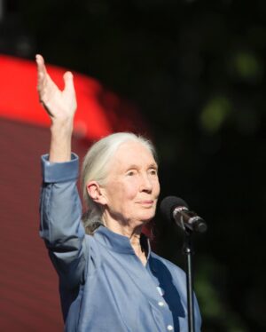 Jane Goodall Instagram - Happy 91st birthday to our dear friend Dr. Jane Goodall! 🎂 Over the years, Jane has appeared on our Festival stages encouraging our audiences to help protect our planet. Her work through the @janegoodallinst has transformed conservation and inspired millions to take action. Today, we celebrate Jane’s legacy in motion, so let’s honor her by making choices that protect wildlife and their homes! 🐒🌳 #GoodallDay

Take action to defend the planet at the link in bio. 🌎

📸: @richardladkani, Getty Images, Ryan Muir for Global Citizen, Mary Kang for Global Citizen