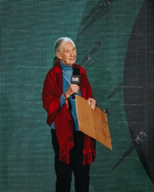 Jane Goodall Instagram - Happy 91st birthday to our dear friend Dr. Jane Goodall! 🎂 Over the years, Jane has appeared on our Festival stages encouraging our audiences to help protect our planet. Her work through the @janegoodallinst has transformed conservation and inspired millions to take action. Today, we celebrate Jane’s legacy in motion, so let’s honor her by making choices that protect wildlife and their homes! 🐒🌳 #GoodallDay

Take action to defend the planet at the link in bio. 🌎

📸: @richardladkani, Getty Images, Ryan Muir for Global Citizen, Mary Kang for Global Citizen