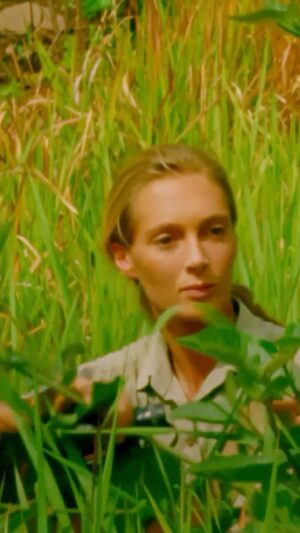 Jane Goodall Instagram - Happy birthday to the pioneering conservationist Dr. Jane Goodall, whose work transformed the world’s understanding of chimpanzees.

JANE is now streaming on @DisneyPlus and @hulu.