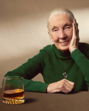 Jane Goodall Instagram - 🎉 Happy 91st Birthday to the incomparable Dr. Jane Goodall! 

Today, we celebrate Dr. Jane Goodall—the scientist who redefined what it means to be human, the activist who speaks out on behalf of our planet and all animals who call it home, and the conservation icon who inspired a global movement of positive change. 

Even before Jane blows out her candles, we have a pretty good guess at what Jane is wishing for: 

🌍 A healthier planet. 
🕊 Peace for the world. 
🐵 A future where animals are safe and wild. 

The best part? You can help make her wish come true. Every action—big or small—makes a difference. Take part in Jane’s conservation story and join us in celebrating Jane’s 91st by taking a positive action for #GoodallDay. 

✨ What will you do today to make the world a little better? Let us know in the comments! 

More info about #GoodAllDay in our LINK IN BIO or https://news.janegoodall.org/2025/03/25/join-the-goodallday-movement/

📸 Miguel McSongwe/BFA.com, Daniela Matejschek, Katherine Holland, Ben Liew

.
.
.
#JaneGoodall #JaneGoodallInstitute #JGI #GoodallDay #DrJaneGoodall #WildlifeConservation #CommunityLedConservation #Chimpanzees #HopeInAction #Conservation #ClimateAction #YouthEmpowerment