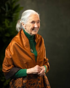 Jane Goodall Instagram - 🎉 Happy 91st Birthday to the incomparable Dr. Jane Goodall! 

Today, we celebrate Dr. Jane Goodall—the scientist who redefined what it means to be human, the activist who speaks out on behalf of our planet and all animals who call it home, and the conservation icon who inspired a global movement of positive change. 

Even before Jane blows out her candles, we have a pretty good guess at what Jane is wishing for: 

🌍 A healthier planet. 
🕊 Peace for the world. 
🐵 A future where animals are safe and wild. 

The best part? You can help make her wish come true. Every action—big or small—makes a difference. Take part in Jane’s conservation story and join us in celebrating Jane’s 91st by taking a positive action for #GoodallDay. 

✨ What will you do today to make the world a little better? Let us know in the comments! 

More info about #GoodAllDay in our LINK IN BIO or https://news.janegoodall.org/2025/03/25/join-the-goodallday-movement/

📸 Miguel McSongwe/BFA.com, Daniela Matejschek, Katherine Holland, Ben Liew

.
.
.
#JaneGoodall #JaneGoodallInstitute #JGI #GoodallDay #DrJaneGoodall #WildlifeConservation #CommunityLedConservation #Chimpanzees #HopeInAction #Conservation #ClimateAction #YouthEmpowerment