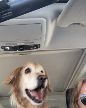 Katherine Salosny Instagram - Sol de mi vida gracias por esta parte de mi historia ..11años juntas mi tremenda compañera junto con mi Rusito..tu ausencia será triste para nosotros pero estarás siempre presente recordando todas tus locuras..mi sonrisa eterna gracias a ti..te amamos mamita hermosa ❤️vuela y nada siempre en Tunquen!!