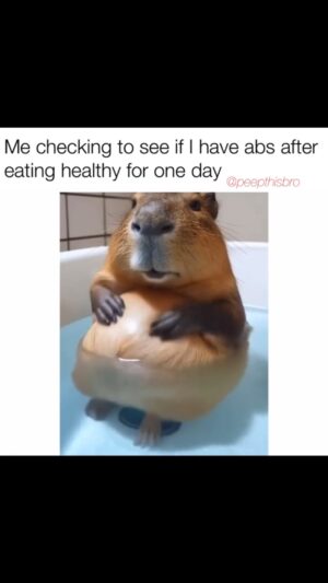 Lori Greiner Instagram - Can anyone else relate to this? (And btw what is this animal?)

🎥 @peepthisbro