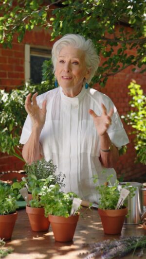 Maggie Beer Instagram - Even the most experienced gardeners have trouble in the garden sometimes! However, if you get your hands on some of Maggie's gardening tools, it might make the job a little bit easier. 

Click the link in our bio to shop.