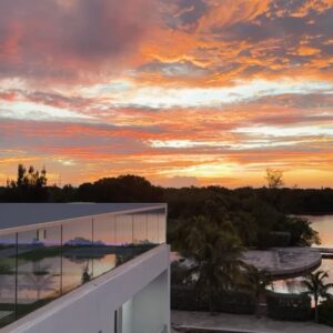 Noor Taher Instagram - celebrating love, family, new family🤍… & dolphins