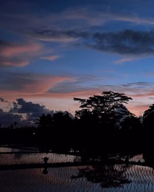 Olivia Jensen Instagram - Lebaran Day 2 🌙 Tranquil Ubud 🍃