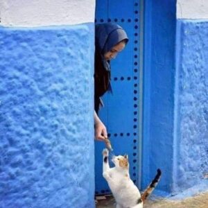 Ouidad Elma Instagram - Sacred creatures sacred creatures sacred ♾️ 
🤍During Ramadan, we are reminded to show extra compassion to all living things. 🩷
Precious moments such as these remind us to reflect and give, especially during the holy month. 💕🩷🐾

But these good habits of respecting and caring for animals should continue throughout our lives. It is the foundation of harmony. And our duty as human beings. 

Help a stray cat or dog today 🥰 🐱🐶