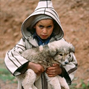 Ouidad Elma Instagram - Sacred creatures sacred creatures sacred ♾️ 
🤍During Ramadan, we are reminded to show extra compassion to all living things. 🩷
Precious moments such as these remind us to reflect and give, especially during the holy month. 💕🩷🐾

But these good habits of respecting and caring for animals should continue throughout our lives. It is the foundation of harmony. And our duty as human beings. 

Help a stray cat or dog today 🥰 🐱🐶