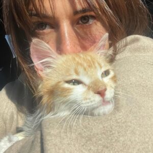 Ouidad Elma Instagram - Historical 🇲🇦🐾🐈‍⬛🐕🐱🐈🫂 
In Dog&Cat WE TRUST.