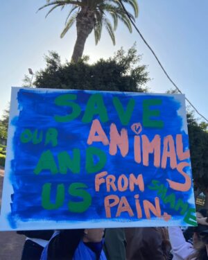 Ouidad Elma Instagram - I am at @ifmarrakech at 3 pm collecting the signatures 🐾✍🏽

Thank you to everyone who is taking action and making things change. Thank you to those who have signed, those who are signing, those who are gathering signatures and spreading this cause. Thank you to those who bring a smile to my face every day through their commitment and solidarity. I am deeply moved by this unity around our companions, the cats and dogs.

As a Moroccan, and as a Muslim, I believe it is essential to stand for our true values: the values of our ancestors, the values of our nation, and the values that will shape our future. We cannot remain silent in the face of corruption, massacres, and the extermination of pure and innocent beings.

We will fight. We will not back down. Each one of you is fulfilling your duty as a human being by standing up for justice and compassion. Thank you from the bottom of my heart.
We stand together for the truth. 🐾❤️🇲🇦

شكراً لكل من يتحرك ويجعل الأمور تتغير. شكراً لكل من وقع، لكل من يوقع، لكل من يجمع التوقيعات وينشر هذه القضية. شكراً لكل من يرسم الابتسامة على وجهي كل يوم من خلال التزامه وتضامنه. أنا متأثرة بشدة بهذه الوحدة حول رفاقنا، القطط والكلاب.

كمغربي/ة، وكمسلم/ة، أؤمن أنه من الضروري أن نتمسك بقيمنا الحقيقية: قيم أجدادنا، قيم وطننا، والقيم التي سترسم مستقبلنا. لا يمكننا أن نصمت أمام الفساد، أمام المجازر، أمام إبادة أرواح طاهرة وبريئة.

سنناضل. لن نستسلم. كل واحد منكم يؤدي اليوم واجبه الإنساني بالدفاع عن العدالة والرحمة. شكراً لكم من أعماق القلب.
نحن معًا من أجل الحقيقة.