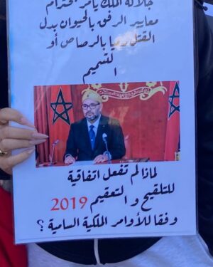 Ouidad Elma Instagram - I am at @ifmarrakech at 3 pm collecting the signatures 🐾✍🏽

Thank you to everyone who is taking action and making things change. Thank you to those who have signed, those who are signing, those who are gathering signatures and spreading this cause. Thank you to those who bring a smile to my face every day through their commitment and solidarity. I am deeply moved by this unity around our companions, the cats and dogs.

As a Moroccan, and as a Muslim, I believe it is essential to stand for our true values: the values of our ancestors, the values of our nation, and the values that will shape our future. We cannot remain silent in the face of corruption, massacres, and the extermination of pure and innocent beings.

We will fight. We will not back down. Each one of you is fulfilling your duty as a human being by standing up for justice and compassion. Thank you from the bottom of my heart.
We stand together for the truth. 🐾❤️🇲🇦

شكراً لكل من يتحرك ويجعل الأمور تتغير. شكراً لكل من وقع، لكل من يوقع، لكل من يجمع التوقيعات وينشر هذه القضية. شكراً لكل من يرسم الابتسامة على وجهي كل يوم من خلال التزامه وتضامنه. أنا متأثرة بشدة بهذه الوحدة حول رفاقنا، القطط والكلاب.

كمغربي/ة، وكمسلم/ة، أؤمن أنه من الضروري أن نتمسك بقيمنا الحقيقية: قيم أجدادنا، قيم وطننا، والقيم التي سترسم مستقبلنا. لا يمكننا أن نصمت أمام الفساد، أمام المجازر، أمام إبادة أرواح طاهرة وبريئة.

سنناضل. لن نستسلم. كل واحد منكم يؤدي اليوم واجبه الإنساني بالدفاع عن العدالة والرحمة. شكراً لكم من أعماق القلب.
نحن معًا من أجل الحقيقة.