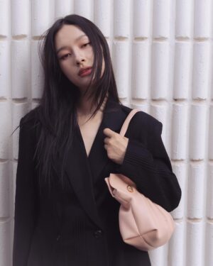 Pansa Vosbein Instagram - 🩰🫧✨

@Ferragamo 
#FerragamoSoftBag 
#FerragamoBallerinas