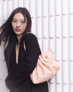 Pansa Vosbein Instagram - 🩰🫧✨

@Ferragamo 
#FerragamoSoftBag 
#FerragamoBallerinas