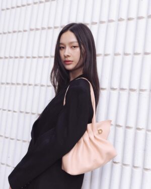 Pansa Vosbein Instagram - 🩰🫧✨

@Ferragamo 
#FerragamoSoftBag 
#FerragamoBallerinas