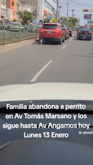Rebeca Escribens Instagram - Dejaré esto por aquí

Gracias @silvia  por ser Valiente y
enfrentar a estos señores.

La familia se protege y se cuida, nunca se abandona ni se expone a situaciones de peligro.
