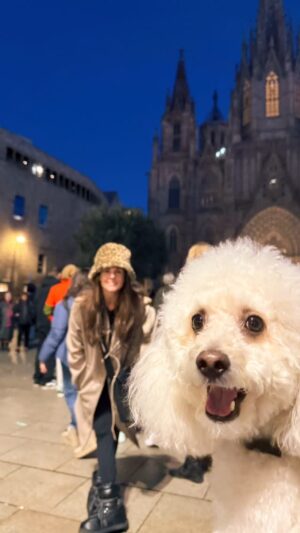 Rebeca Escribens Instagram - 🌍🐾 Un perrito en Europa.
El mejor portado del viaje, el más cariñoso, mimado y, sí, ¡el más engreído! 🐶💼 Mi compañero de aventuras, mi amigo fiel. Donde voy, él también va, porque no lo dejo por nada. 🖤✨ Mi Leo, siempre a mi lado, haciendo cada momento más especial.

Pd: captura la foto que más te guste del video y mándamela. 

#MiCompañeroDeViaje #UnPerritoEnEuropa #AmigoFiel #AventurasJuntos