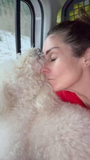 Rebeca Escribens Instagram - Soy un perro internacional y ahora ladro en catalán, francés e italiano 🐶🤪

Muchos me preguntan cómo hice para traérmelo? 
 Más adelante le cuento todos los detalles.