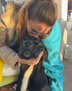 Rojda Demirer Instagram - Ahh o bakışları o kafayı yaslayışı kalbimi bıraktım yine 🥹Gündem yoğun arada kaynamasınlar ltf🙏 bize herzamankinden daha çok ihtiyaçları var 🐕 🐈 
#sokakhayvanlarısahipsizdeğil #yasayıiptaletaym