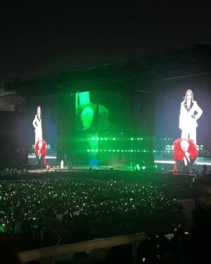 Sandara Park Instagram - I love The Leaders 🐉🍒🐰