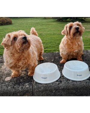 Sarah Ferguson Instagram - Happy International Pet Day to my seven sweet doggies! From their wagging tails and comforting cuddles, to the calming presence and loyal companionship they give every single day, life is simply brighter with these amazing furry friends by my side.