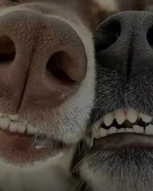 Tonka Tomicic Instagram - Momentos que guardé en mi teléfono y no les subí 😘