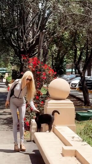 Valeria Lukyanova Instagram - Я люблю животных , а они любят меня . Они чувствуют энергетику безусловной любви. Сейчас работаю над активацией анахаты и меняю ауру на зеленую , внутри . Как думаете какого цвета моя реальная аура ? Если вы хотите научиться видеть ауру и овладеть базовыми приемами магии а также продвинуться в дальнейшем к изучению высшей магии то приглашаю вас в свою магическую академию ссылка в профиле! #маг #магия #магическийвзгляд
