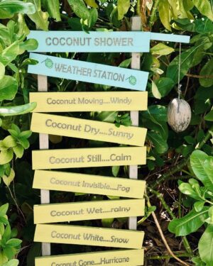 Vanessa Mai Instagram - Sorry, bin immer noch hier 😬 (P.s. Zum Glück ist die Coconut nicht „gone“ 😆 Slide 4 🥥) #SOMaldives | Anzeige