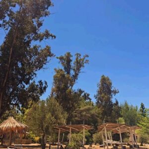 Yamna Lobos Instagram - Fotitos del finde ☀️
Cariños mi gente bella!!!....❤️💋🤗