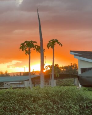 Yasmin Said Instagram - Nothing Much! Just HIM showing off😍😍😍🌅